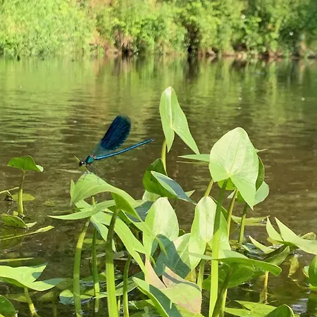 Kontener Nad Rzeka Prázdninový dům *