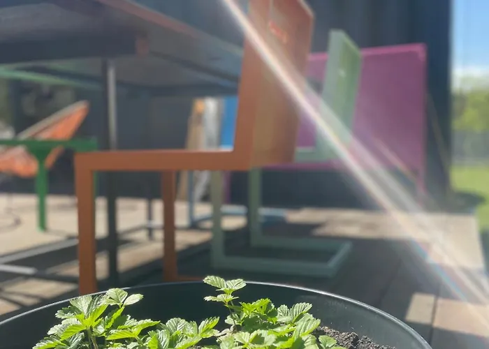 Kontener Nad Rzeka Semesterbostad Grabie